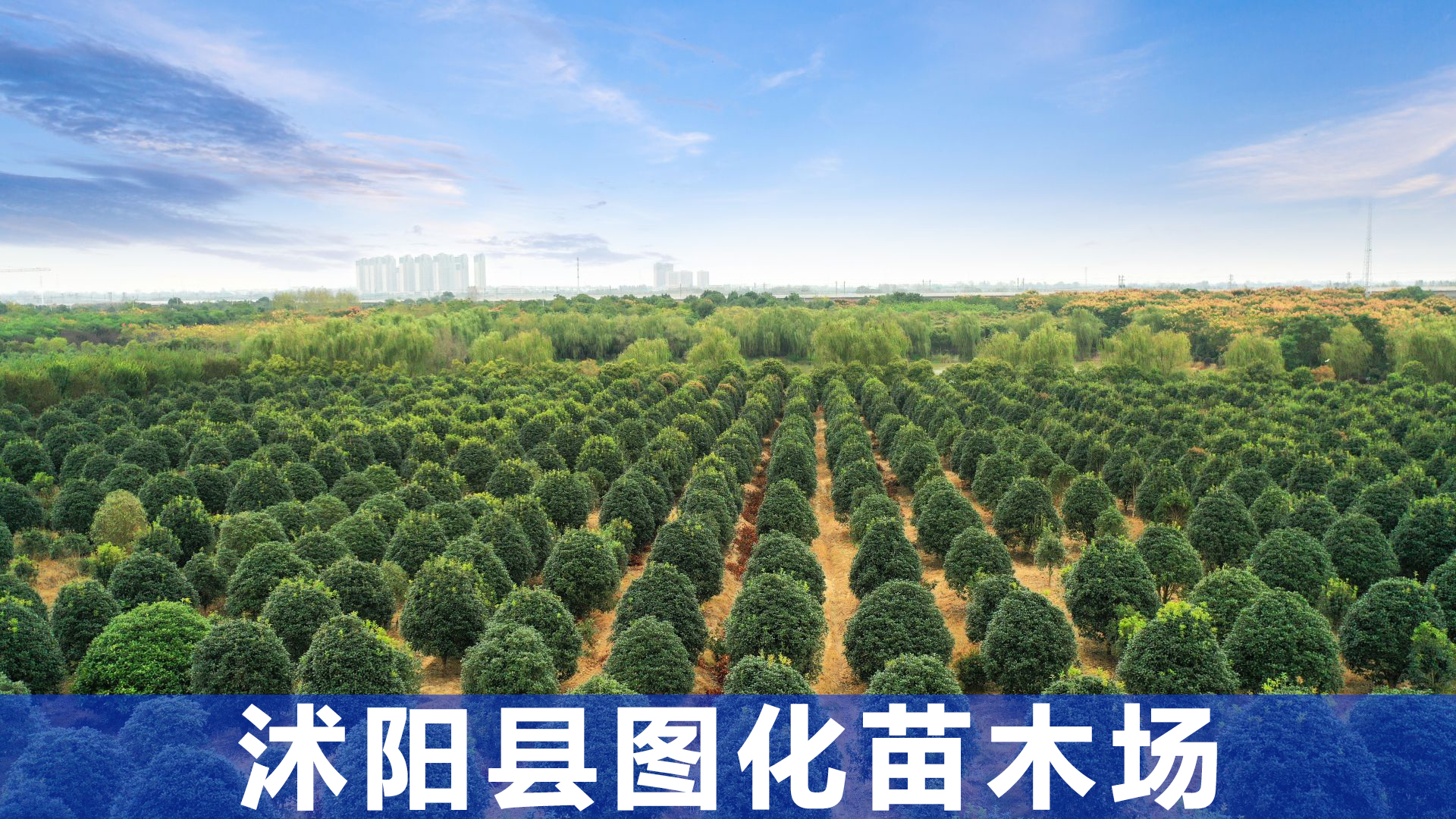 区域产业数字化升级方案