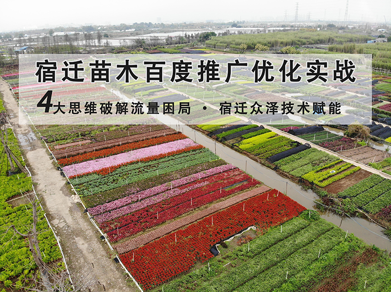 营销观点